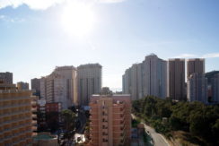 SONY DSC